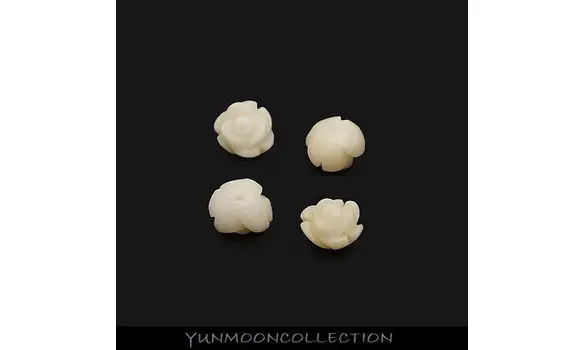 2x corails naturel blanc en fleur